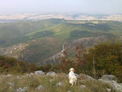 Lovište "Nišava"