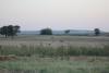 loviste-nisava-06_t1.jpg