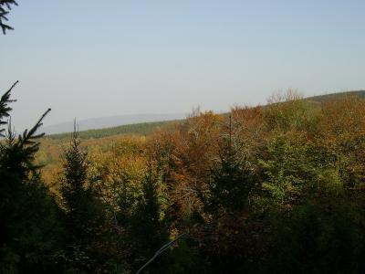 Lovište "Nišava"