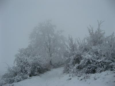 Lovište "Nišava"