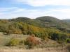 loviste-nisava-21_t1.jpg