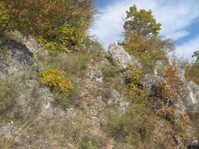 Lovište "Nišava"