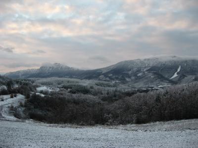 Lovište "Nišava"