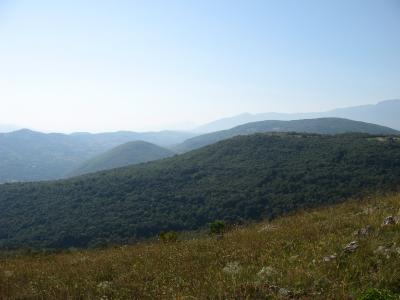 Lovište "Nišava"