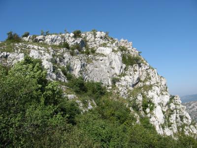 Lovište "Nišava"