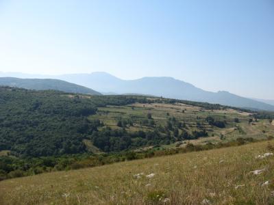 Lovište "Nišava"