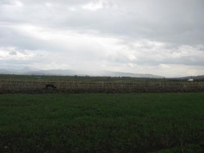 Lovište "Nišava"