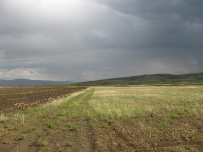 Lovište "Nišava"