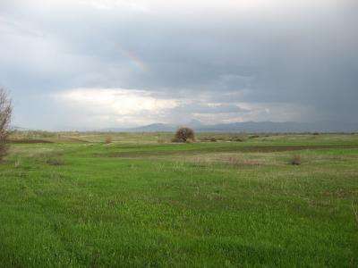 Lovište "Nišava"