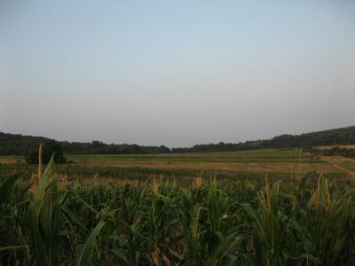 Lovište "Nišava"