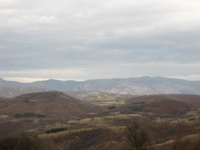 Lovište "Nišava"
