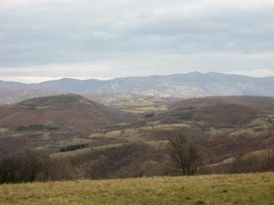 Lovište "Nišava"