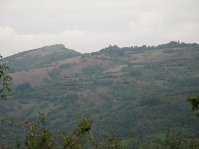 Lovište "Nišava"