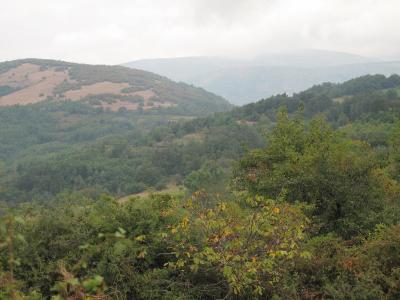 Lovište "Nišava"