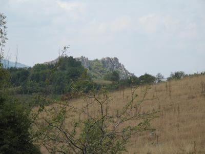 Lovište "Nišava"