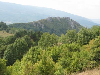 Lovište "Nišava"