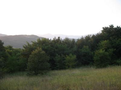 Lovište "Nišava"
