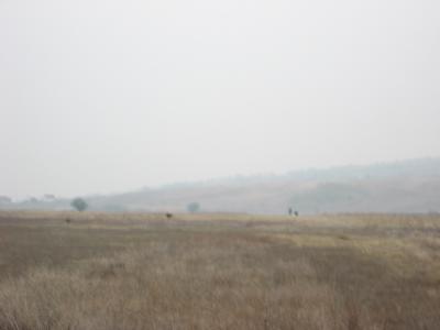 Lovište "Nišava"