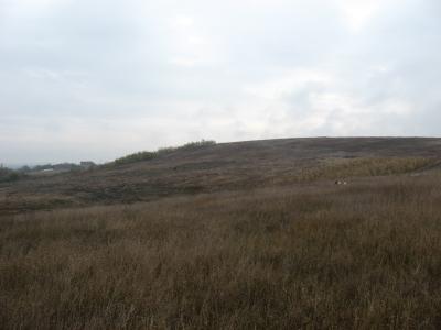 Lovište "Nišava"