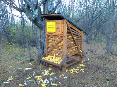 prihrana-uzgoj-22.jpg
