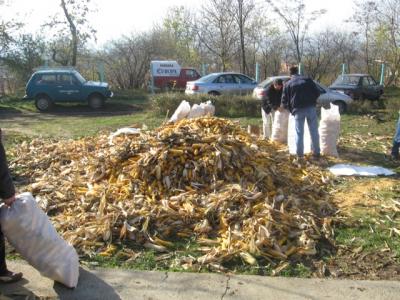 prihrana-uzgoj-28.jpg