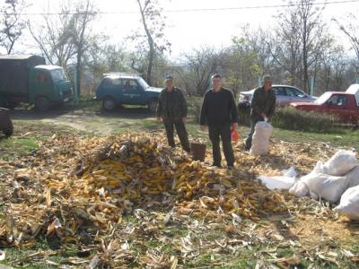 prihrana-uzgoj-30.jpg