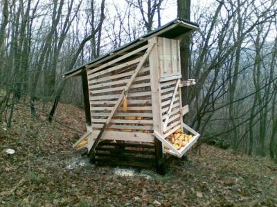 prihrana-uzgoj-35.jpg