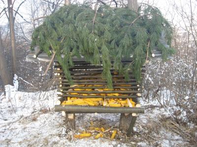 prihrana-uzgoj-58.jpg