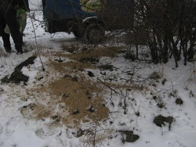 prihrana-uzgoj-67.jpg