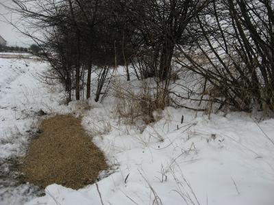 prihrana-uzgoj-68.jpg