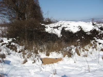 prihrana-uzgoj-73.jpg