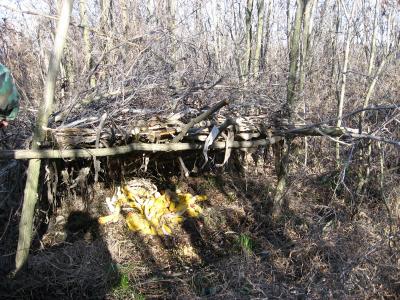 prihrana-uzgoj-97.jpg